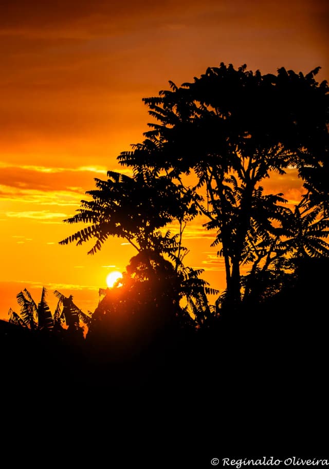 Quadro Pôr do Sol